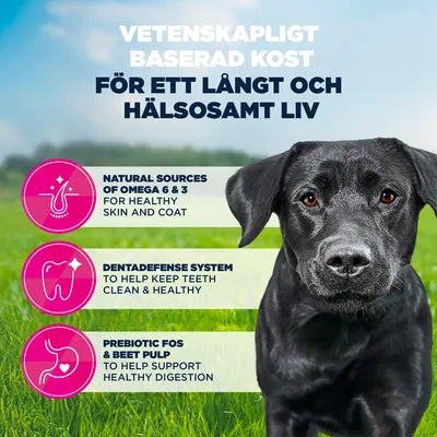 Eukanuba Premium Nutrition Adult Large & Giant Breed Chicken 15 kg