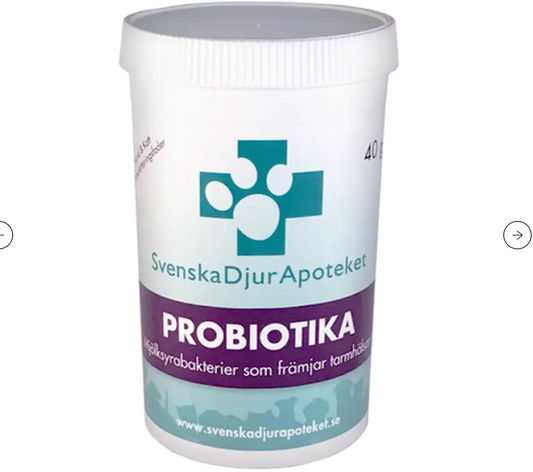 Probiotika 160 g