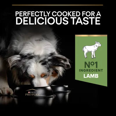 PURINA PRO PLAN Medium Adult Lamb & Rice Sensitive Digestion 14 kg